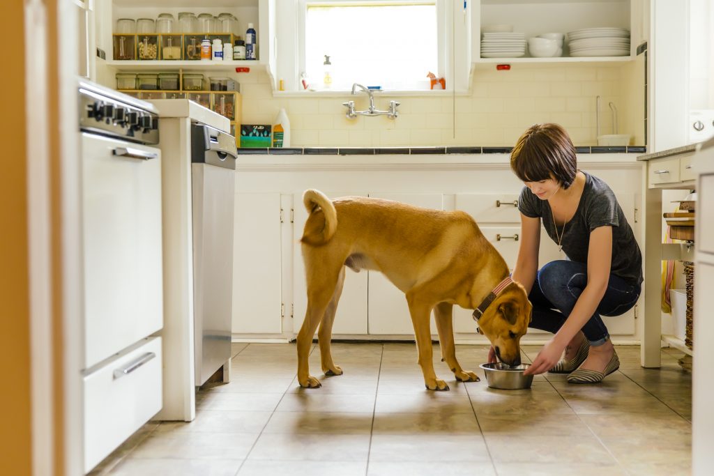 Tierfutter selbst zubereiten