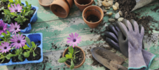 Gartenausruestung