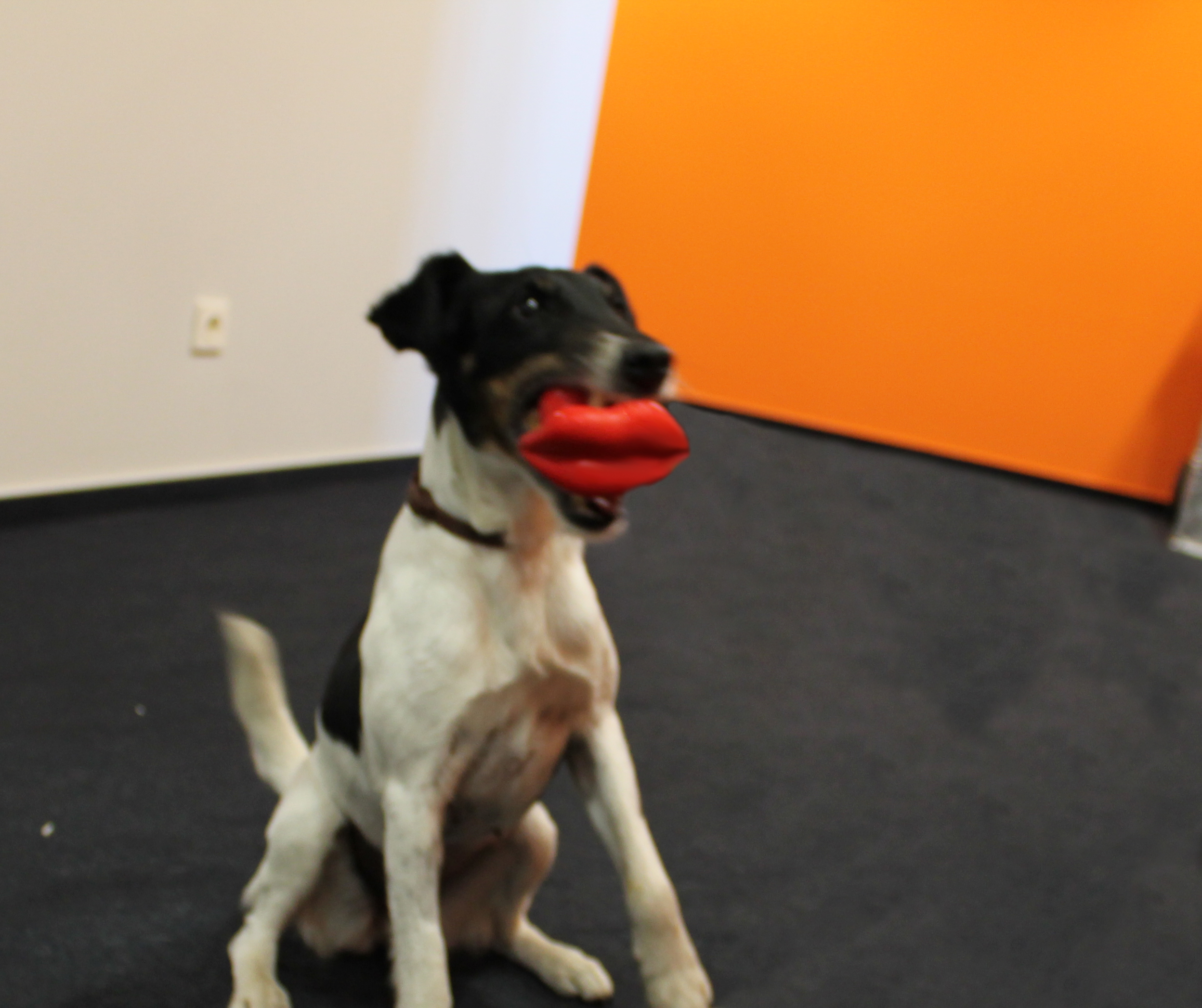 Xenia mit Humunga Lips