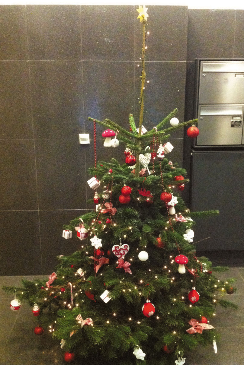 Goldstern auf dem Weihnachtsbaum