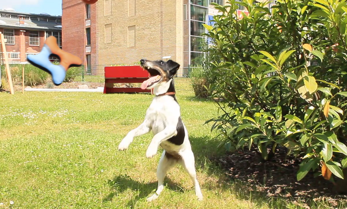 Xenia mit Aqua Frisbee