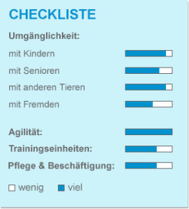Checkliste_Abessinier-Kurzhaar
