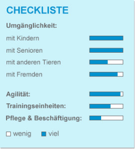 Checkliste_Beagle