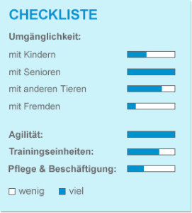 Checkliste_Chihuahua