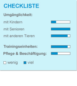 Checkliste_Dackel