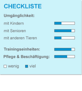 Checkliste_Jack-Russel