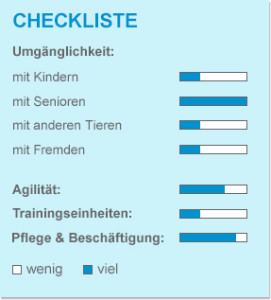 Checkliste_Perser-Langhaar
