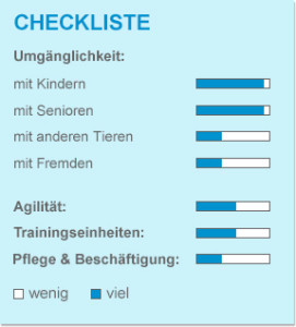 Checkliste_Hausratten