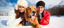 Winterurlaub_Tier