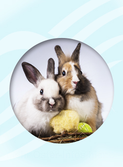 Ostern mit der Familie