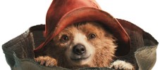 Portrait Paddington_web