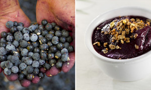 Bilder_Superfood_Magazin_ACAI