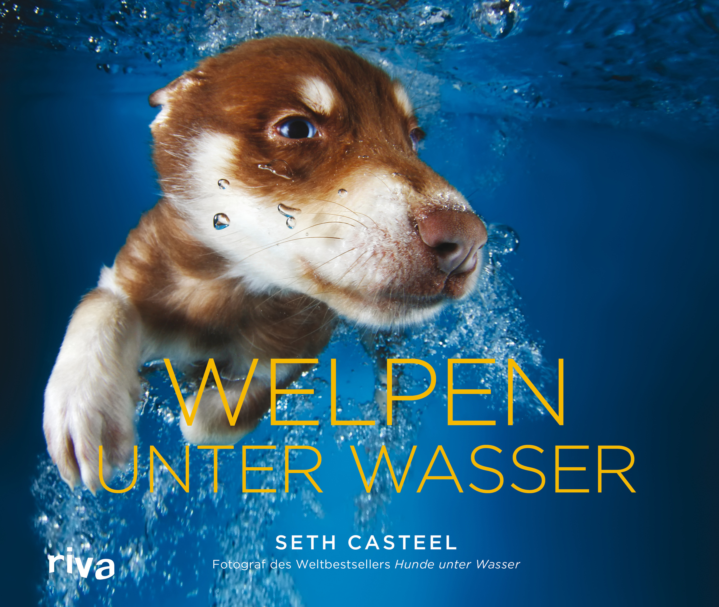 Cover Welpen unter Wasser