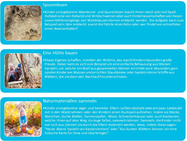 Die wichtige Bedeutung von Naturerfahrungen für die kindliche Entwicklung Grafik 6