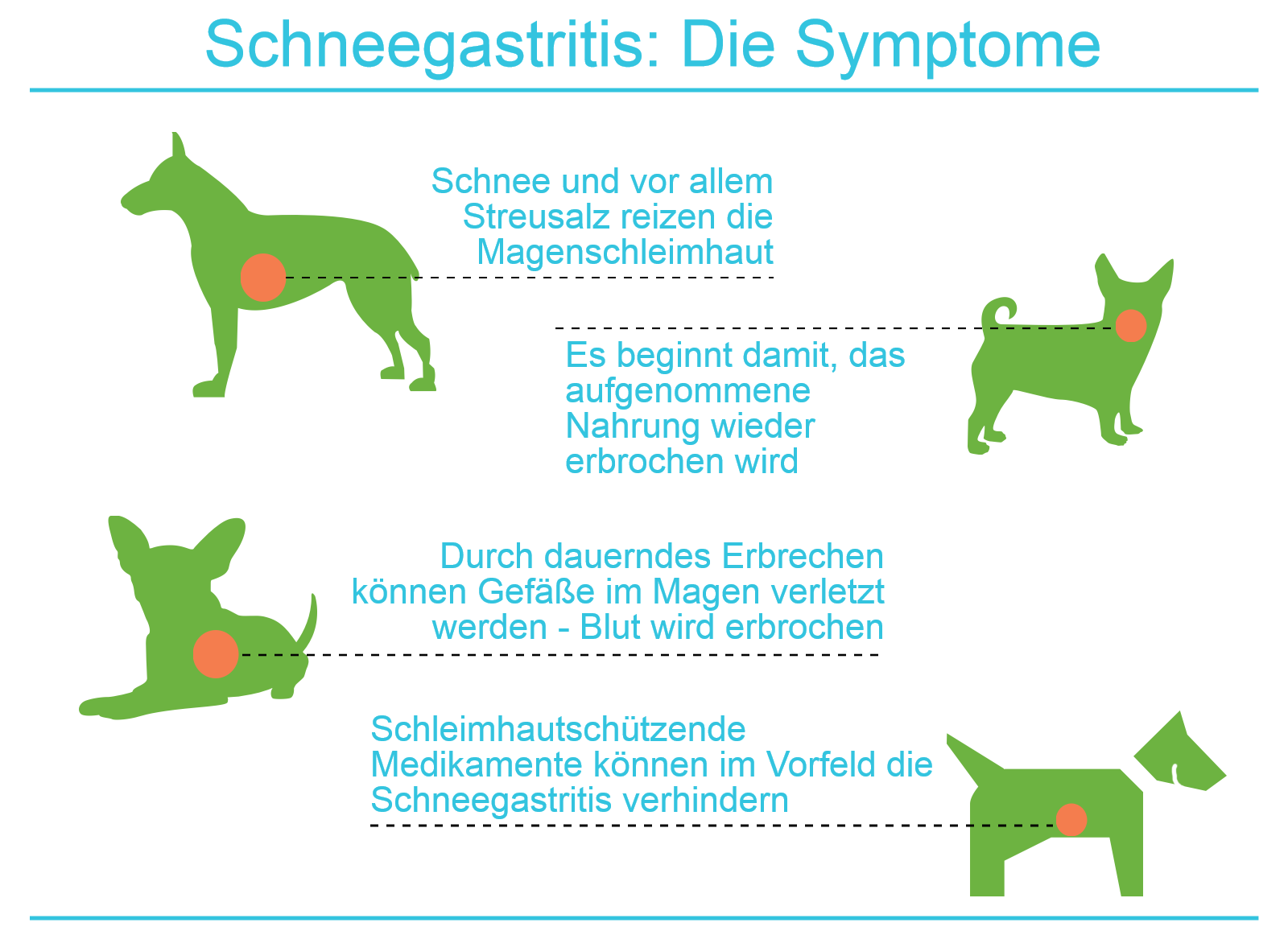 Schneegastritis: die Symptome