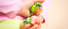 Elance_657x288__0009_my-kid-steals-how-to-stop-sticky-fingers-without-shame