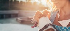 5 Herausforderungen bei der Tierbetreuung