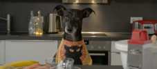 vierter-advent-featured-image-1