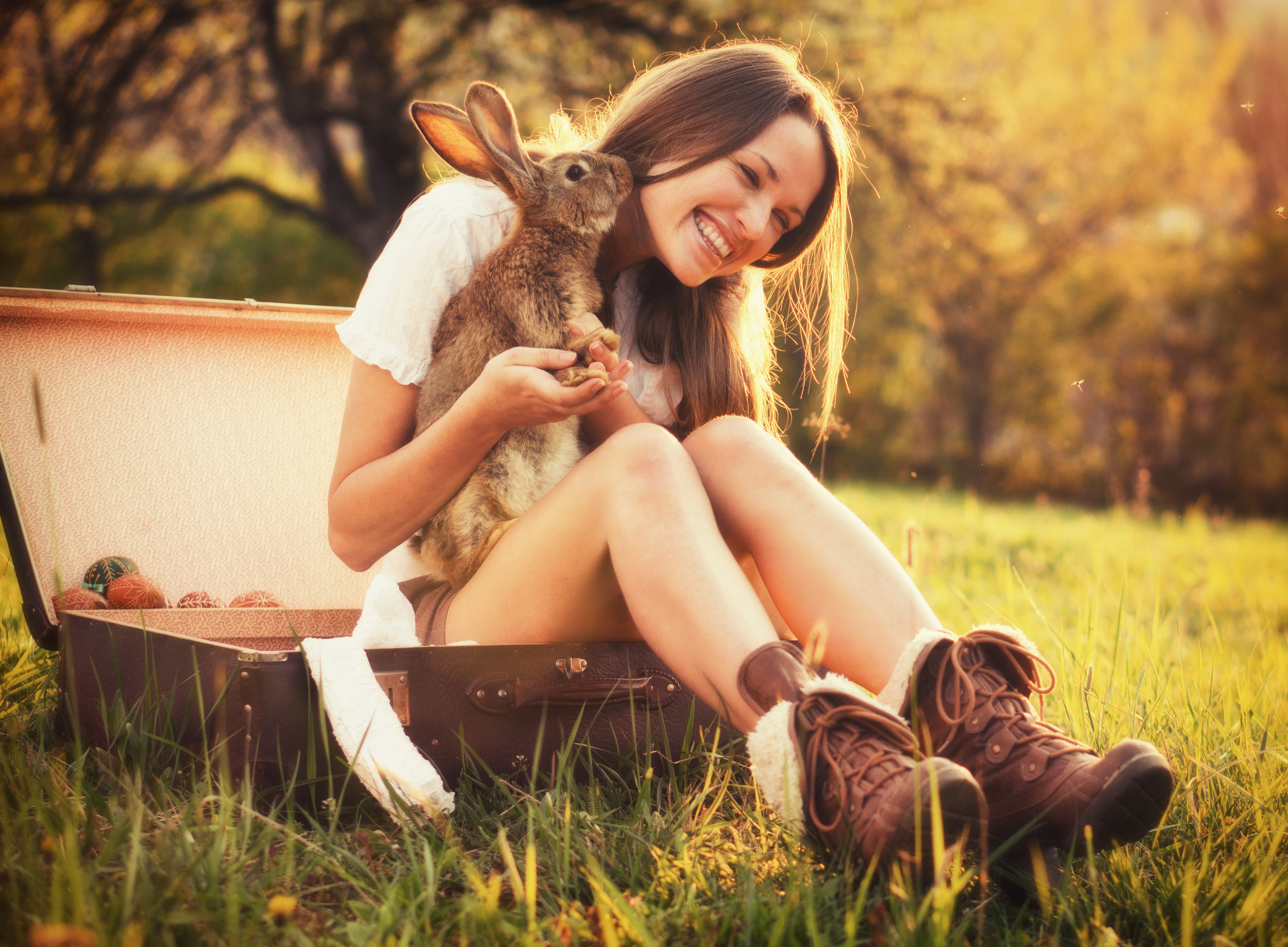 Tierbetreuer werden