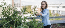 Urban Gardening