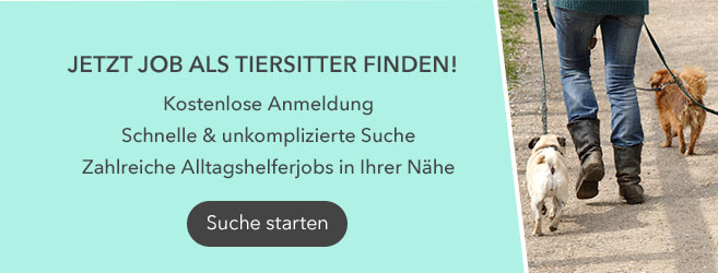 Preise für Tierbetreuung