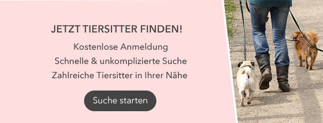 Stundenlohn Tiersitter