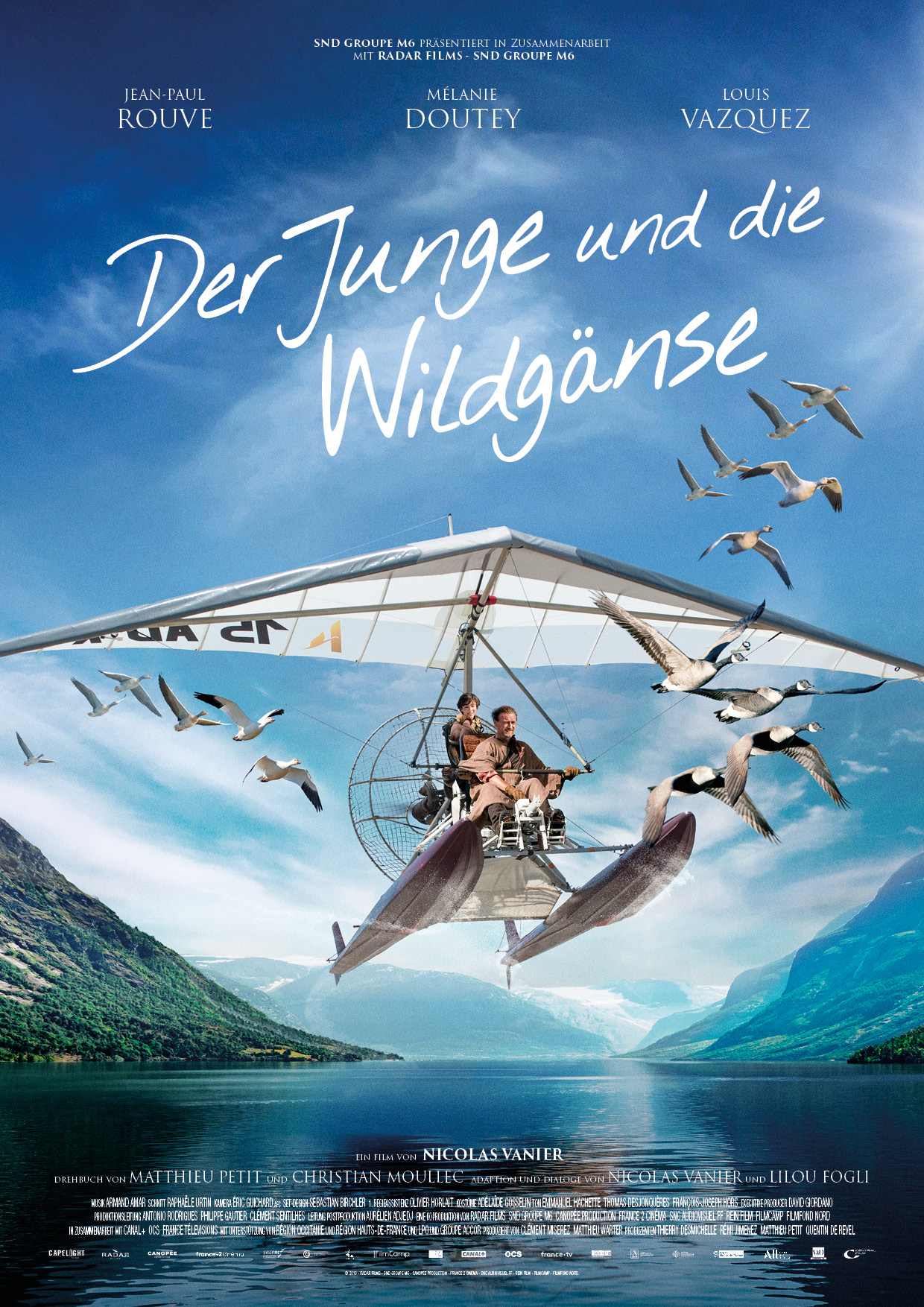 DER JUNGE UND DIE WILDGÄNSE